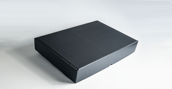 10 Stück Multiversandbox M grau 600x420x105 mm