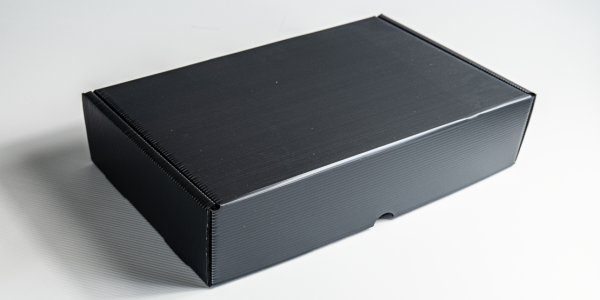 10 Stück Multiversandbox S light schwarz 395x240x95 mm